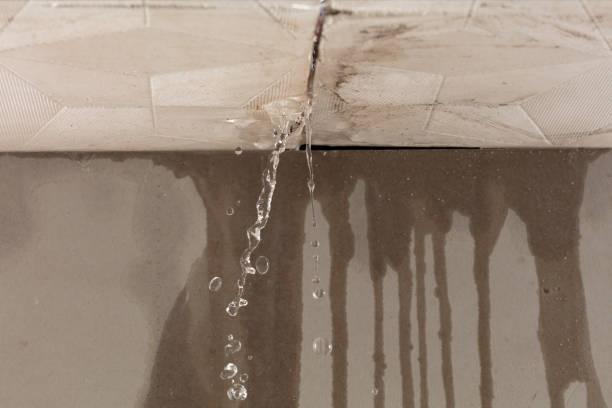 Professional Water Extraction technician working in Pala, CA